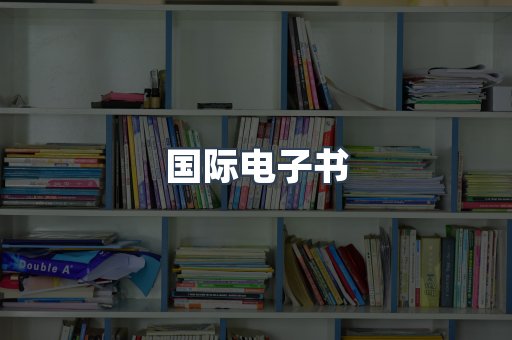 国际电子书